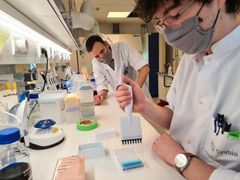 Fødevareindustrien, landbruget og skibsfarten er blandt de mange brancher, som kan få glæde af danske Cysbios nye produktionsmetoder af for eksempel ålegræssyre. Foto: Cysbio ApS.