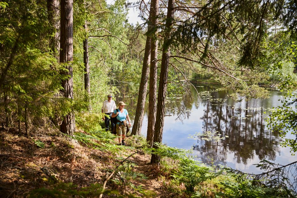 Pilgrimsleden ved Hallsdammen. Foto: Jonas Ingman 