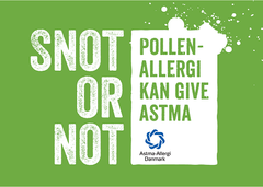 Astma-Allergi Danmark kickstarter kampagnen Snot or not den 3. maj på Højbro Plads i København. Foto: Astma-Allergi Danmark