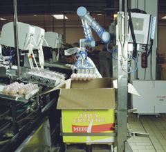 Ægpakkeriet Cascina i Italien bruger dansk robotteknologi