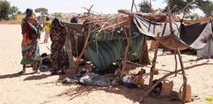 De internt fordrevne i delstaten Vestdarfur mangler blandt andet tilpas beskyttende husly (Foto: ADRA Sudan)