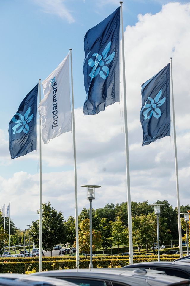 Flag med Topdanmarks logo ved hovedkontoret i Ballerup