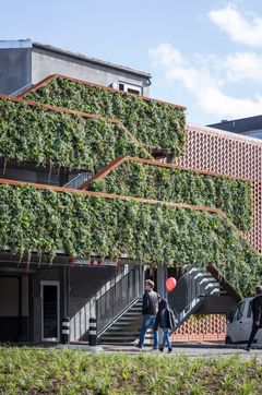 Parkeringshuset i Roskilde er designet af Sweco Architects for Roskilde Kommune. De grønne vægge bidrager til bedre luftkvalitet lokalt. Foto: Niels Nygaard.