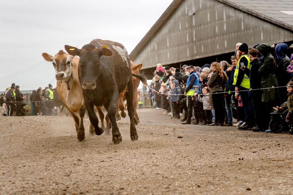 Økodag der er publikum på Foto Brian Rasmussen
