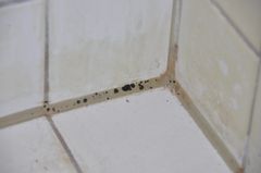 Skimmelvækst på fuger kan skyldes utilstrækkelig ventilation i kombination med, at badeværelset her er placeret midt i lejligheden, uden vinduer og mulighed for tilførsel af udeluft. (Foto: SBi).