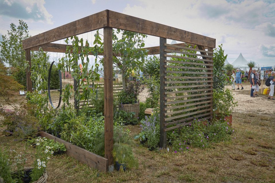 Cph Garden 2019_07 Foto Martin Sølyst Haveselskabet
