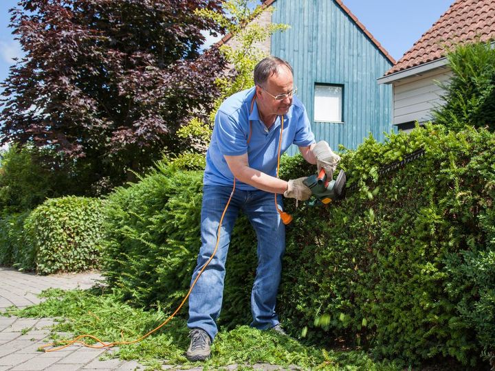 Havearbejde sender hvert år tusindvis af danskere på skadesstuen. Weekenderne i april, juni og juli er de tidspunkter, hvor de fleste uheld sker. Foto: Pixabay
