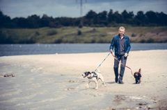 Fra 1. april til 30. september skal man have sin hund i snor, når den luftes på stranden. Foto: Dyrenes Beskyttelse. Til fri afbenyttelse.