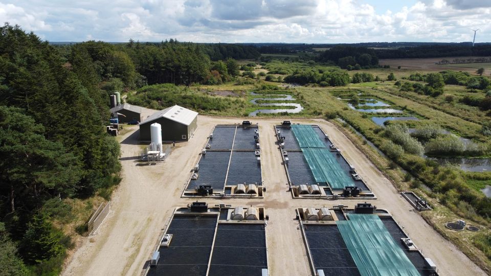 AquaPri_Bratbjerg-_troutfarm