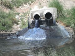 Store mængder urenset spildevand løber ud i naturen. Foto: Sweco.