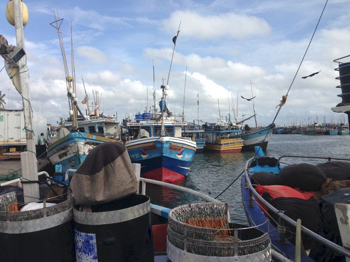 Sri Lanka er en stor fiskeri-nation med omkring en kvart million beskæftigede. Dansk it-udstyr fra Visma er en af nøglerne til fremover at sikre bæredygtigt fiskeri i Det Indiske Ocean. Systemet har også en række sikkerhedsmæssige fordele, idet det også har alarm-kald og kan vise vejrudsigter i bådene, der ofte er primitivt udstyret sammenlignet med vestlige forhold. Billedet giver et indtryk fra Dikkowita Fishery Harbour, hvor der lige nu monteres transpondere som en del af løsningen fra danske Visma Consulting.