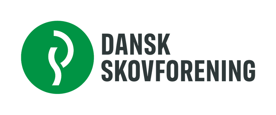 ds-logo-horisontal-positiv-rgb (1)