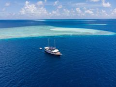 Nu sejler det danske rejsebureau DBP Adventures danskere rundt i Maldiverne for at jage paradisets bedste bølger.  Foto: PR.