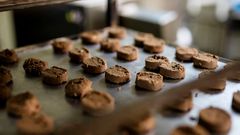 Økologiske småkager er en af påskenyhederne fra Mols Organic