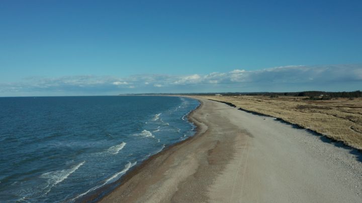 Havet i Danmark. Foto af: WWF Verdensnaturfonden