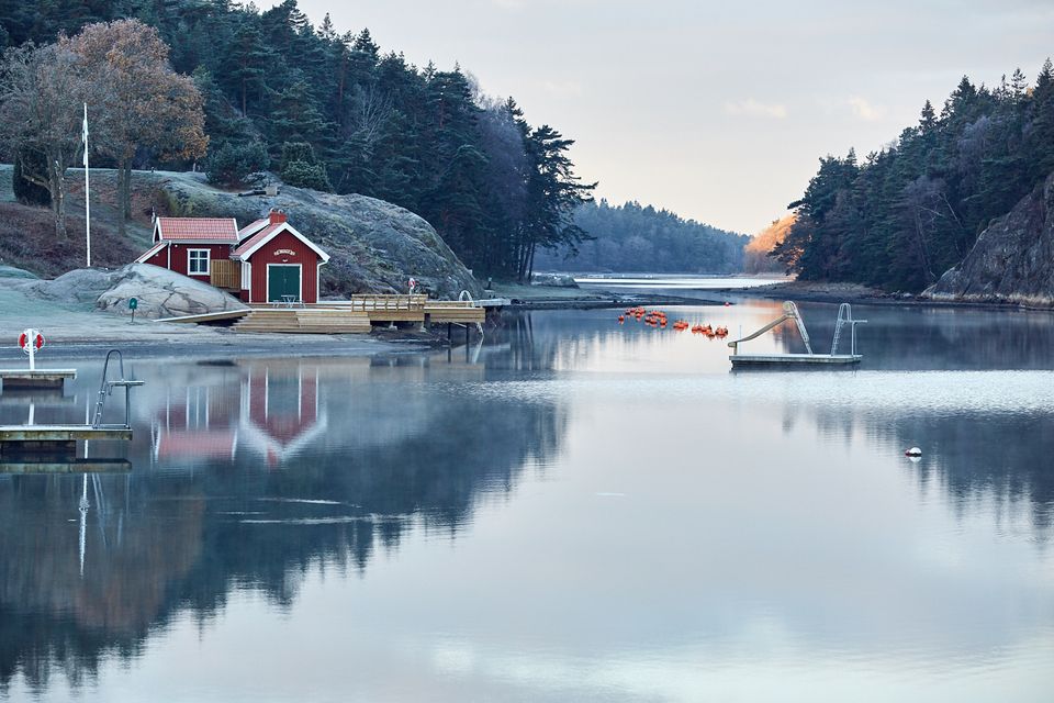 Spejlblank skovsø hos Lagunen. 