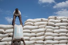 Foto: WFP/Marwa Awad
