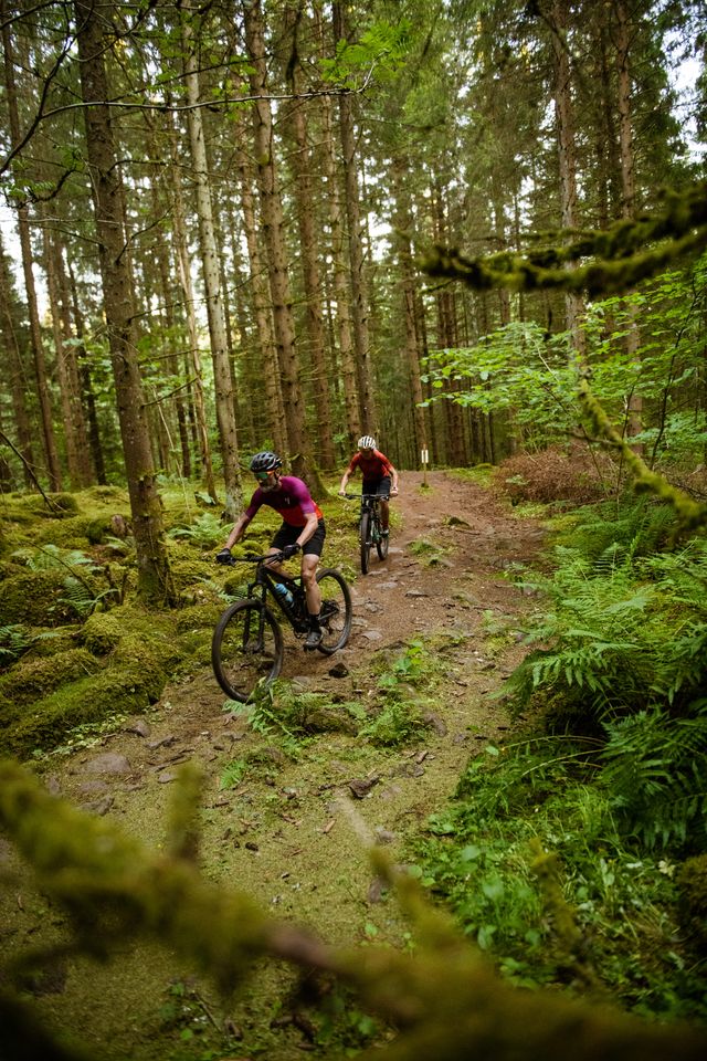 Mountainbike-kørsel i bakkede omgivelser, Billingen