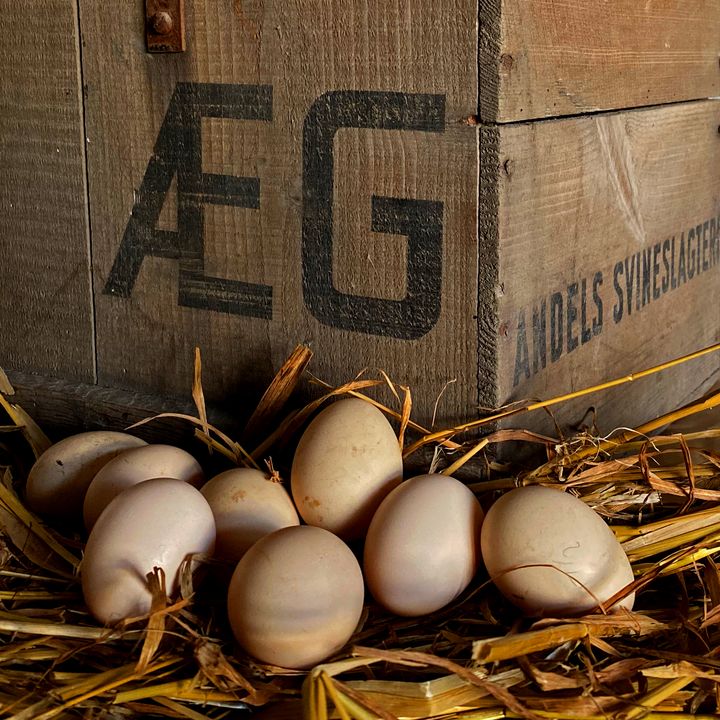 Æg var en del af karlenes og tjenestepigernes aflønning tilbage i tiden, men blev også brugt til leg og morskab. Og naturligvis er de også en del af påsken i Lützhøfts Købmandsgård. Foto: ROMU