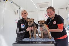 Dyreværnets Nina Amdi og dyrlæge Christine Fossing kommer til Ringkøbing for at hjælpe socialt udsatte borgeres dyr. Foto: Hans Jørgen Riis/Dyreværnet