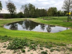 Assens Forsyning A/S fraråder badning og ophold i selskabets regnvandsbassiner – ikke fordi vandet er giftigt, men fordi det kan indeholde bakterier og kun bør nydes med øjet (Foto Assens Forsyning A/S).