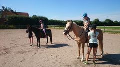 Aktiv Sommer på Billingegaard Rideskole