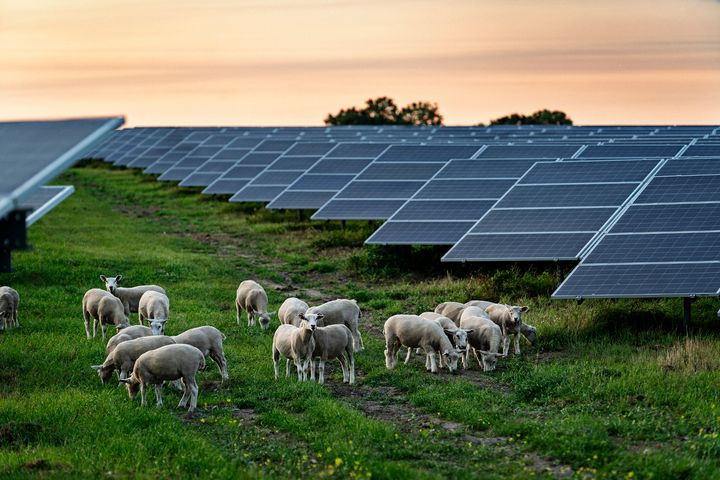pengeoverførsel salgsplan Illusion Toms og Better Energy indgår elkøbsaftale, der medvirker til opførelse af  ny solcellepark | Better Energy