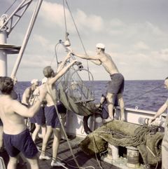 Forskerne på Galathea brugte net, der kunne nå ned under 10.000 meters dybde. Foto: Statens Naturhistoriske Museum.