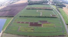 Oversigt over kartoffelmark