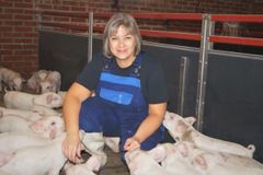 Charlotte Johannesens alternative behandlingsstrategi har resulteret i sunde og livskraftige grise i Bob Pinstrups svinebesætning.  Hun ser det som fremtiden inden for sygdomsbehandling. Foto: PR.