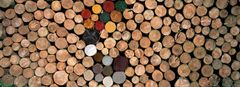Træ er et væsentligt billigere og mere bæredygtigt byggemateriale end mursten og beton, men store udgifter til vedligehold afholder branchen for at bygge i træ. Med en markant forbedret træbeskyttelse ændres balancen og gør træ mere konkurrencedygtigt. Foto: PR.