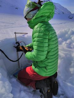 Målinger i sne: Ca. 70 forskere kommer hvert år til områderne ved Zackenberg i Nordøstgrønland, Nuuk og Qeqertarsuaq (Disko) i Vestgrønland, hvor de måler på mere end 2.000 parametre. Ved den årlige sneundersøgelse, her i Kobbefjord, måler forskerne på snedybde, densitet, temperatur og struktur. (Foto: Asiaq)