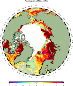 Jordkloden set fra oven/Nordpolen den 29. juli 2020. Det hvide område er dækket med havis. Farven på havet rundt om indikerer, om havtemperaturen er over eller under normalen. Det ses, at der er en del røde farver, hvilket betyder, at temperaturen er 2-4 grader over normalen. Kilde: http://ocean.dmi.dk/arctic/satellite/index.php