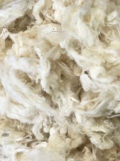 Hemmeligheden bag Lanowool ammeindlæggene er uld fra New Zealandske får. Foto PR.