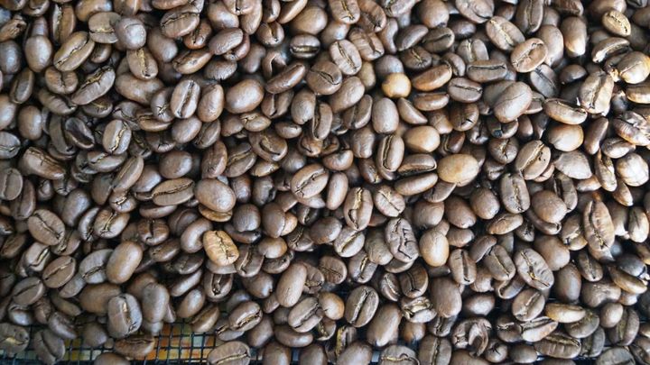 Fra 1. januar 2020 bliver det muligt for fødevarevirksomheder at donere kaffe til humanitære formål og slippe for afgiften.