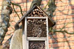 Udhulede træstammer eller mursten med huller i kan fungere som såkaldte bihoteller og sikre de flyvende insekter bedre betingelser for bestøvning af haven. Foto: PR.