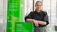 Anne Højer Simonsen, klimapolitisk chef i Dansk Industri