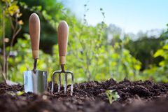 Havearbejde er godt for både smidighed, balance og kondition og er tilmed godt for den mentale sundhed. Foto: PR.