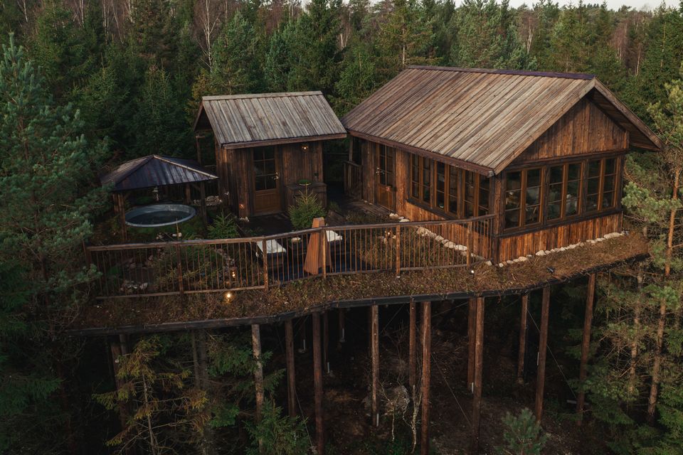Bo i en hytte blandt trætoppene