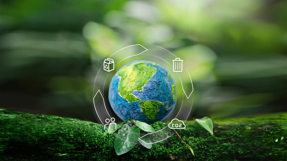 Globe-in-Forest_2207399441_Icons_16x9.jpg