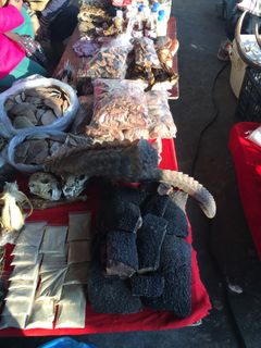 Et udvalg af elefantprodukter som især kinsere efterspørger på det illegale marked.