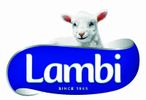 Lambi