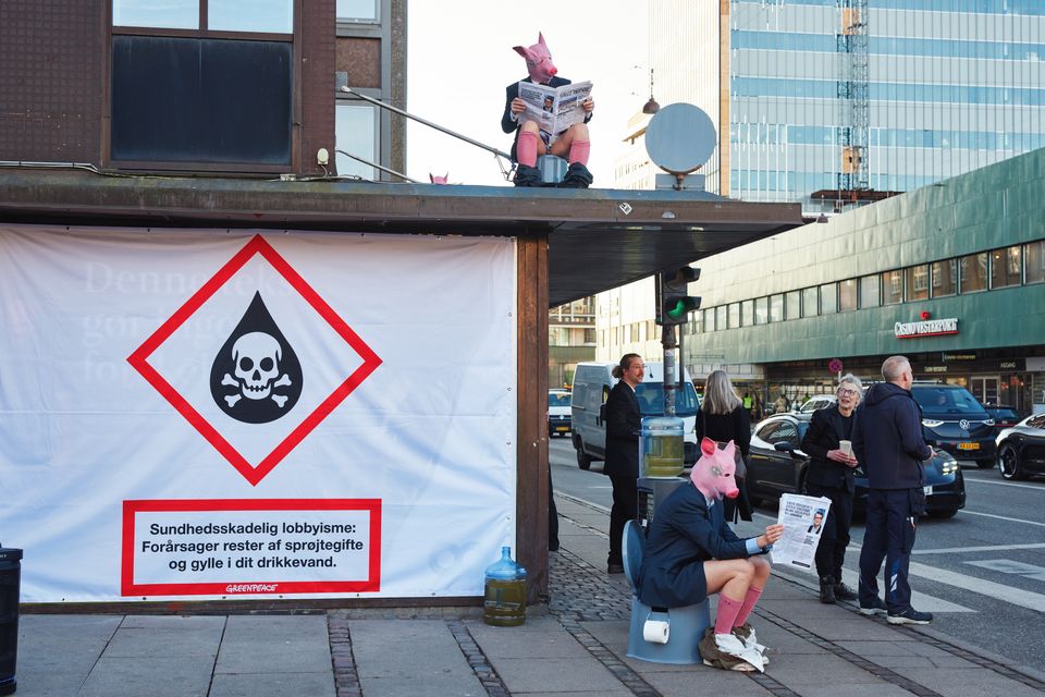 Greenpeace-aktion, banner og svineaktivister