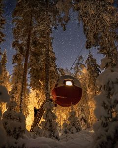 Svävande kupol mellan träden