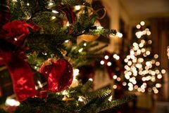 Danskerne vil gerne have julepynt i høj kvalitet på årets juletræ. Foto PR.