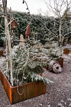 Med lidt kreativitet kan blade, grene og kogler arrangeres, så de ikke bare beskytter bedene mod frost, men også pynter i en ellers vintergrå have. Foto: PR.