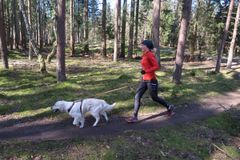 Line Sidelmann Brinch med sin hund på løbetur i skoven. Canicross handler ifølge hende både om motion og om samarbejdet mellem hund og ejer.  (Foto: PR)