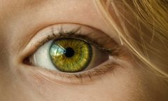 I dag kan øjenlidelser, der tidligere gjorde os blinde, oftest behandles med succes med en af markedets mange øjenoperationer. Foto: PR.