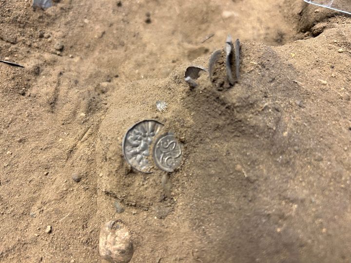 I efteråret blev der fundet sølvmønter fra en vikingeskat på en mark nær Bramslev. Foto: Nordjyske Museer.