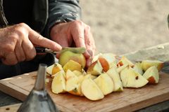 Æblefest 2
Æbler er efterårsferiens midtpunkt hos Lützhøfts Købmandsgård. Der skal mostes, bages og laves stoftryk med æbler, og hele familien kan være med.
Licens: Creative Commons navngivelse
Copyright: ROMU